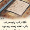 user61125166066791