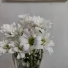 baitijannati_fashion