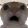 ghetbanthanvcd