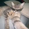 fakhrul_empire910
