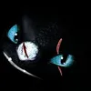 nightfurydragonpl