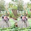 aamirrrrr_a