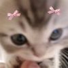 incopoki