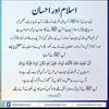 baber.elahi28