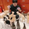 Đứa Con Bốn Chân-Cats Rescue