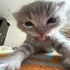 nilwy4