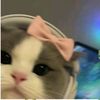 mar_ium_34