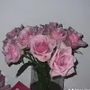 luvqrszx