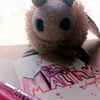 molik_368