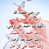 khadija03887
