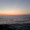 tlumaacz_2115
