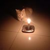 enamenamlapanlapan