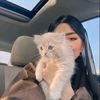 roro2_54
