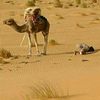 ahmed.dah89