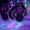 brimaxtiger