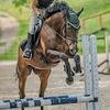 apollo_equestrain