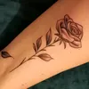darkrose02181