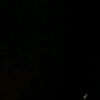 al_xndr1
