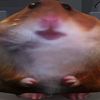 deatheartuwu