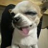 chakki_0