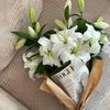 Lily