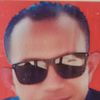 oddy346