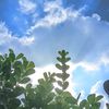 mendoza_23f