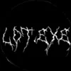 lotax_6