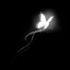 _mybutterfly7