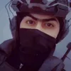 hassin19973