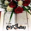 adibwaezwaez