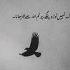 tanveerqadir12