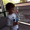 david_odtr