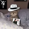curlyq_2