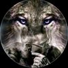 user8808113754559