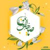syedmurtaza1210
