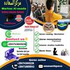 quran_online8