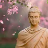 🪷🪷🪷 Sống Thiện 🪷🪷🪷