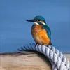 ghislainenicolle