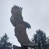 the_beardedgun