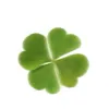 www.tiktok._com815