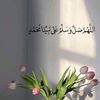user2032744438256