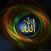 user5017247402003
