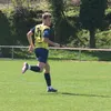 fontlol11