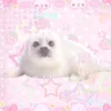crysst4lll
