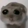 kitmiaogogo