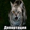 jabob767