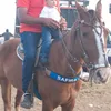 cristvo.silva38