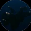 4rlcardo