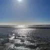 sharoncampbell944
